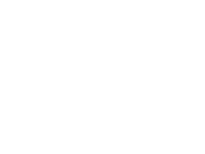 Logo_Burberry